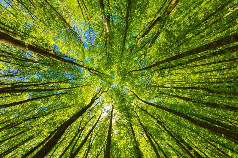 カルシウムは大事でも寝る前は白湯で整える